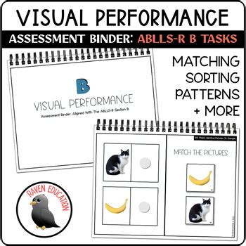 Visual Performance Assessment Binder Aligned With Ablls R B Tasks