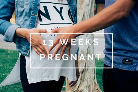 What To Expect At 13 Weeks Pregnant: Baby’s Growth And Your Changes ...