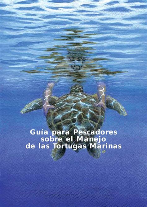 Gu A Para Pescadores Sobre El Manejo De Las Tortugas Marinas