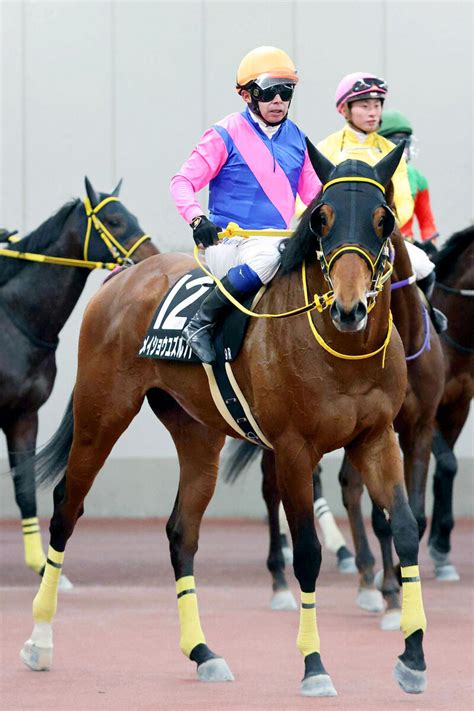 【岩田康誠の熱血！！競馬道】メイショウユズルハの高い能力引き出したい 函館土曜メイン・マリーンs Umatoku 馬トク