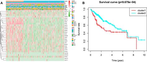 Frontiers The Pattern Of Expression And Prognostic Value Of Key