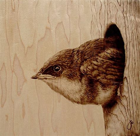 Amazingly Realistic Wood-Burned Portraits of Wildlife | Wood burning art, Painting on wood ...