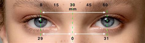 How To Measure Pupillary Distance A Step By Step Guide Measure Tutor