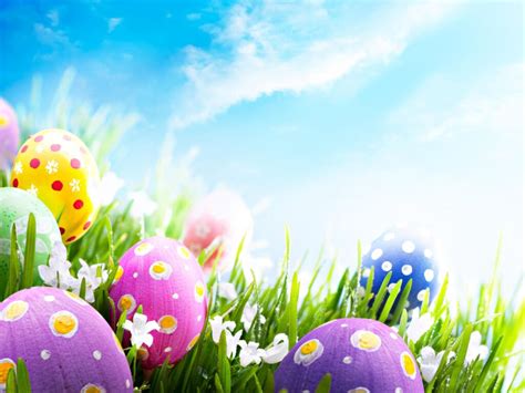 16 Easter Backgrounds for Zoom, Teams & Skype - Funny Meeting Backgrounds