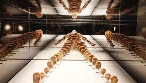 Bodies The Exhibition - Las Vegas museum | Review