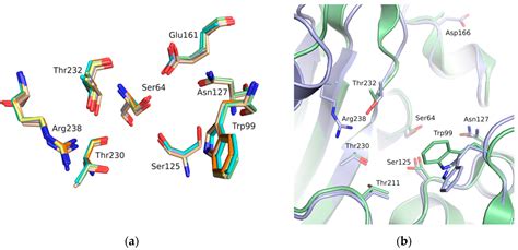 Biomolecules Free Full Text Targeting The Class A Carbapenemase Ges