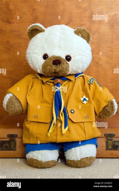 teddy bear dressed as boy/girl scout from Czech Republic- ABS scout ...