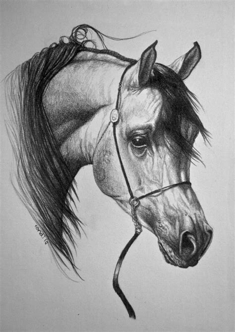 78 Images About Arabian Horses In Art On Pinterest Friendship