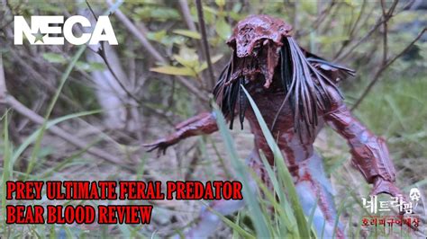 Neca Prey Ultimate Bear Blood Feral Predator Review 네카 베어블러드 페럴 프레데터