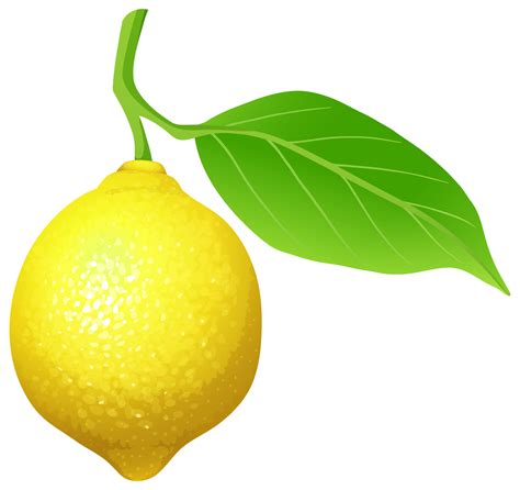 Lemon PNG Clip Art