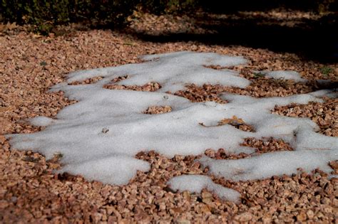 Free Images Tree Sand Snow Leaf Frost Autumn Soil Season