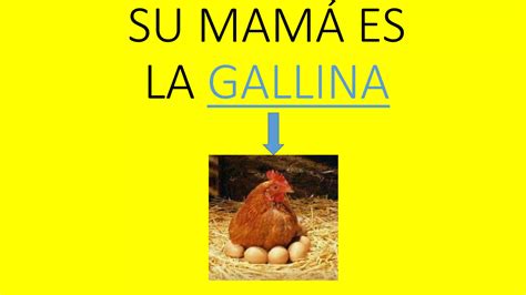 El Pollito En Educacion Infantil 3 Años Ppt