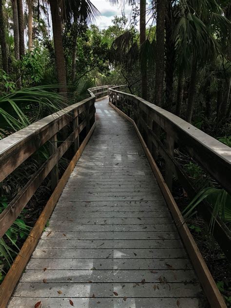 Manatee Park | Florida Photo Spot - PIXEO