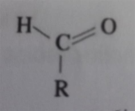 Les Glucides Biochimie Cartes Quizlet