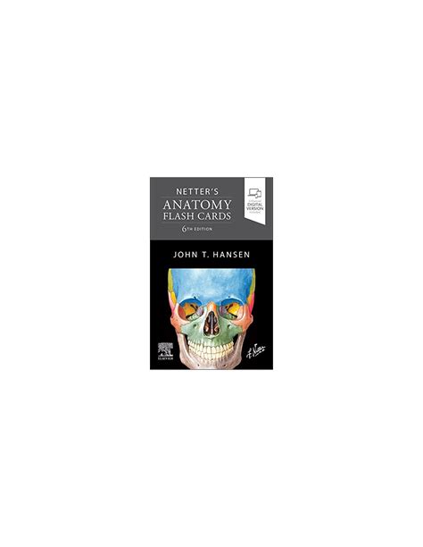 Netter S Anatomy Flash Cards Th Edition