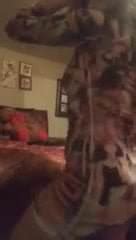 Une Latina Danse Sexy XHamster