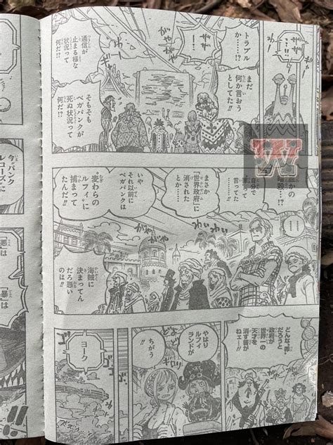Nika piece chapter 1118 full raws. : r/Piratefolk