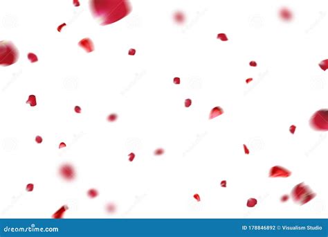 Many Rose Overlay Rose Flowers And Petal Valentine Background With