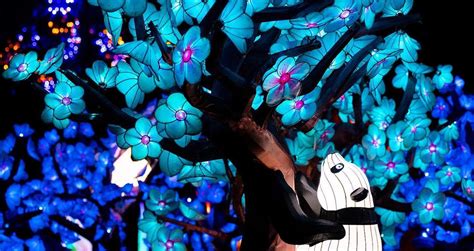 Wildlanterns returns to the Woodland Park Zoo this November