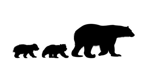 Bear Cub Silhouette Images – Browse 2,371 Stock Photos, Vectors, and ...