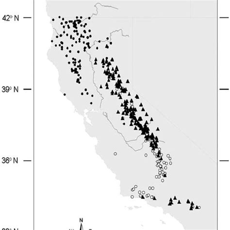 (PDF) Black Bear Population Genetics in California: Signatures of ...