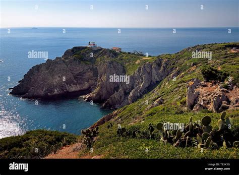 île Du Levant Hi Res Stock Photography And Images Alamy