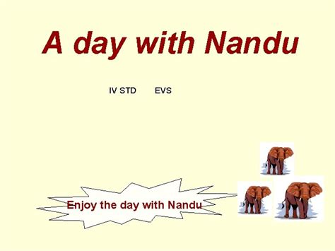 A Day With Nandu Iv Std Evs Enjoy