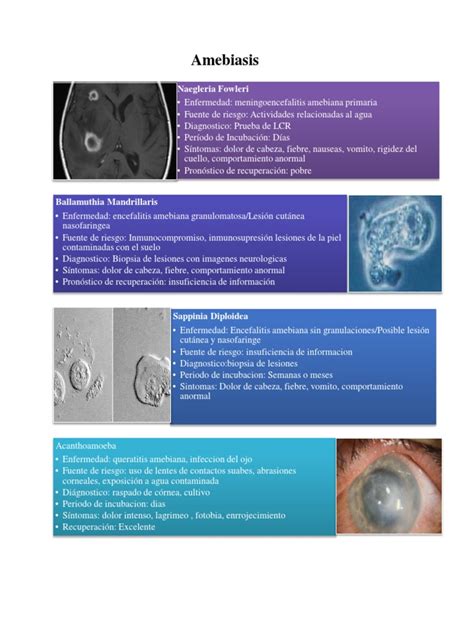 Amebiasis Pdf Especialidades Medicas Medicina Clinica