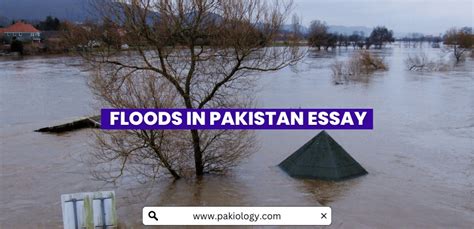 Floods In Pakistan Essay Causes And Prevention Pakiology