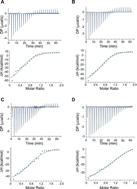 Binding energetics of prodomain-derived peptides in complex LPS. ITC ... 