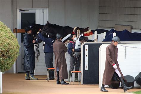 「引退ヤリ」が気になる調教師たちのラストチャンス！安田隆行厩舎は19頭、中野栄治厩舎は15頭出走の大攻勢も今年未勝利の2人に「爆穴」の予感 Gj