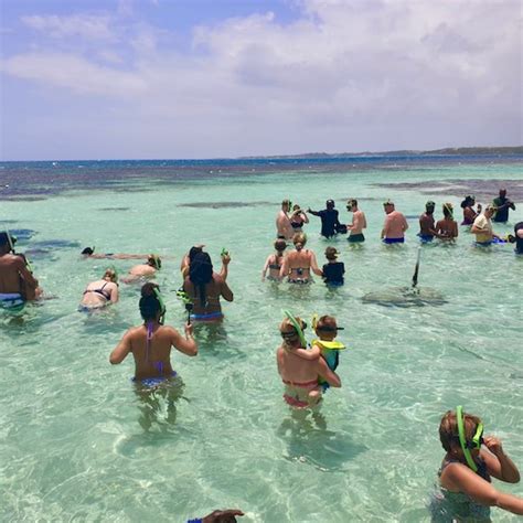 Best Stingray City Antigua Tours | How to Swim and Snorkel with Southern Stingrays in Antigua ...