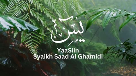 Murotal Al Quran Syaikh Saad Al Ghamidi Yaasiin YouTube