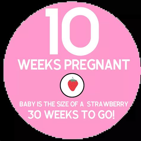 Week by week pregnancy guide – Artofit