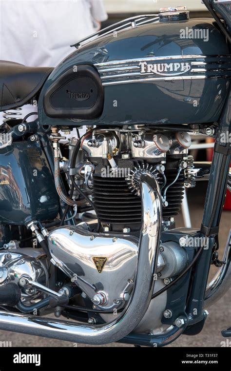 1949 Triumph 6t Thunderbird Motorcycle Classic British Motorcycle