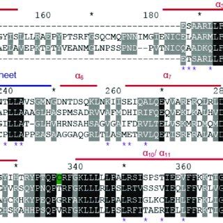 Sequence Alignment Of Tlx Lbd With Coup Tfii Rxra And Pnr Lbds The