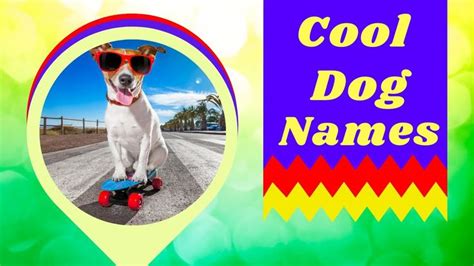 Cool Dog Names ! 30 Awesome Puppy Name Ideas With Meaning ! Unique Dog ...