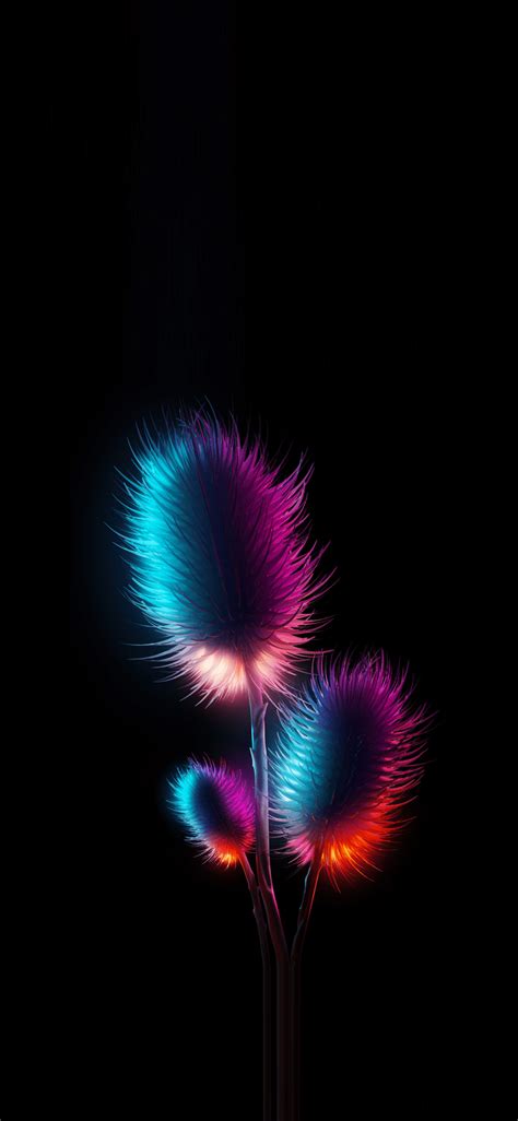 iphone   iphone wallpaper blognobon