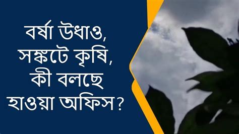 পুরুলিয়া বর্ষা উধাও সঙ্কটে কৃষি কী বলছে হাওয়া অফিস Video