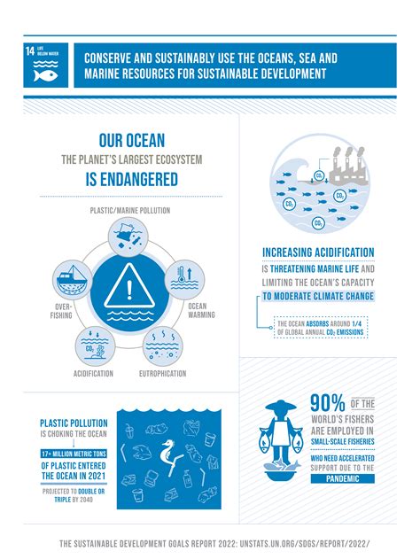 Life Below Water Paul College Of Business And Economics Sustainable