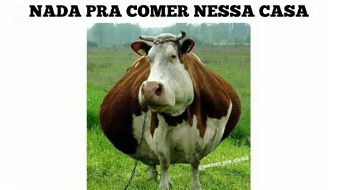 MELHORES MEMES EM IMAGENS NADA PRA COMER NESSA CASA YouTube