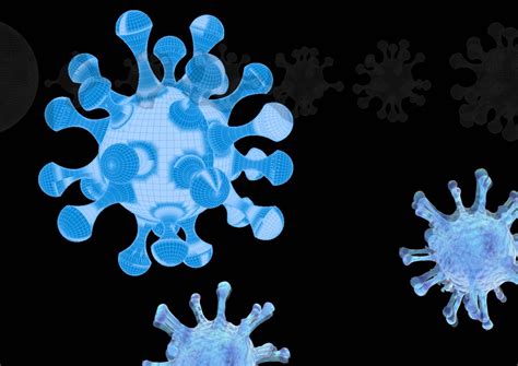 Simulating Viral Structures – IAAC Blog