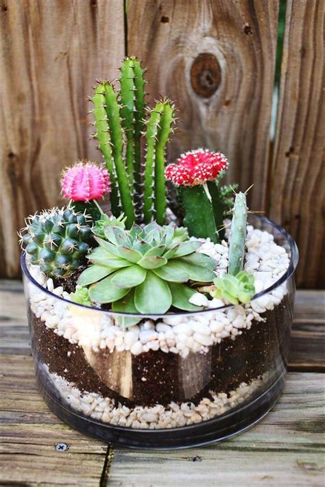 Top 43 Diy Cactus Craft Ideas Diy To Make