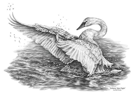 White Swan - Dreams Take Flight Drawing by Kelli Swan