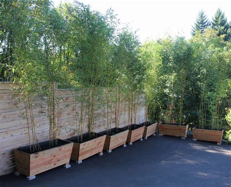 Bamboo Planters