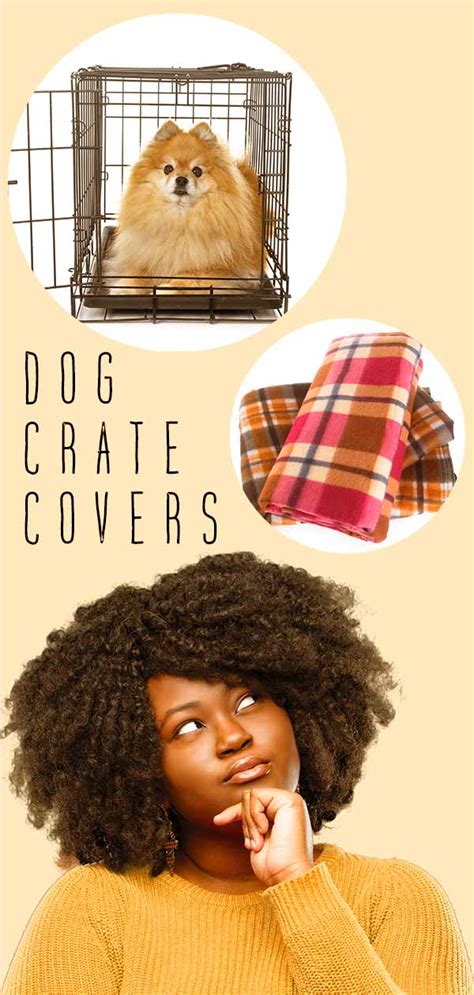 Best Dog Crate Covers - The Best Ways To Make Your Dog's Den Snug