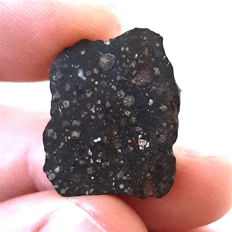 Nwa 13030 Cv3 Carbonaceous Chondrite Meteorite Very Thin Catawiki