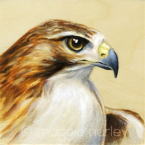 Red-Tailed Hawk - Bird Art on Wood - Maggie Hurley