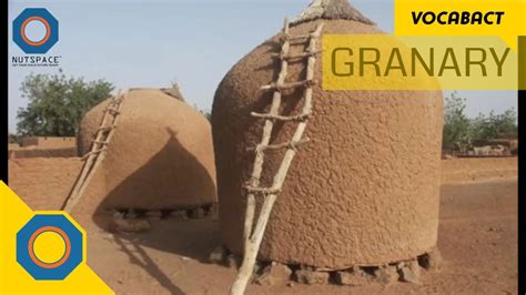 Granary Meaning | VocabAct | NutSpace - YouTube