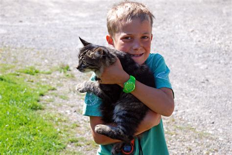 Kinderurlaub Ferienhof Weber Halden Blaichach Gunzesrieder Tal